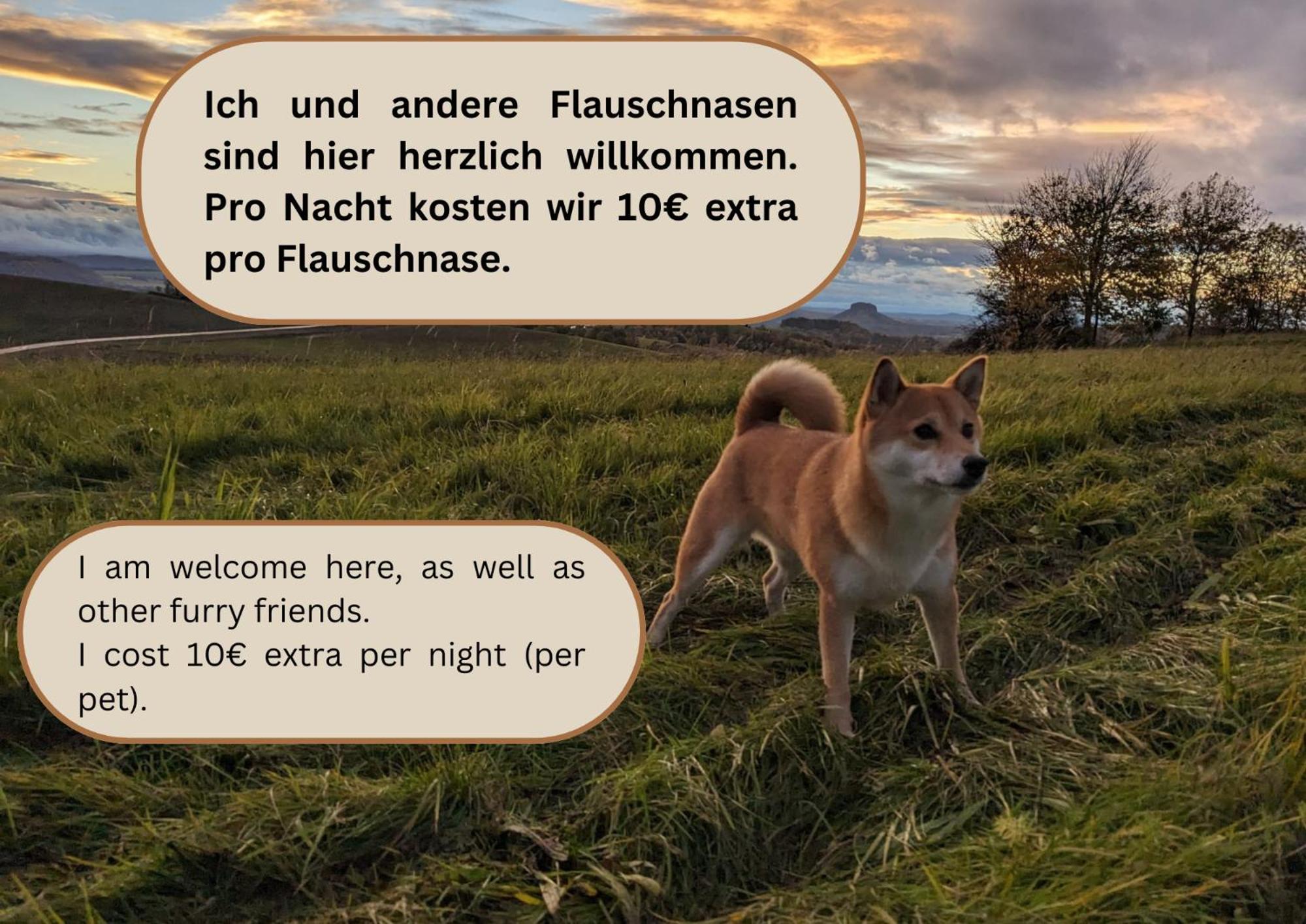 S3 - Urlaubsmagie - Fuer 4P Mitten Im Elbsandsteingebirge Sebnitz Exterior foto